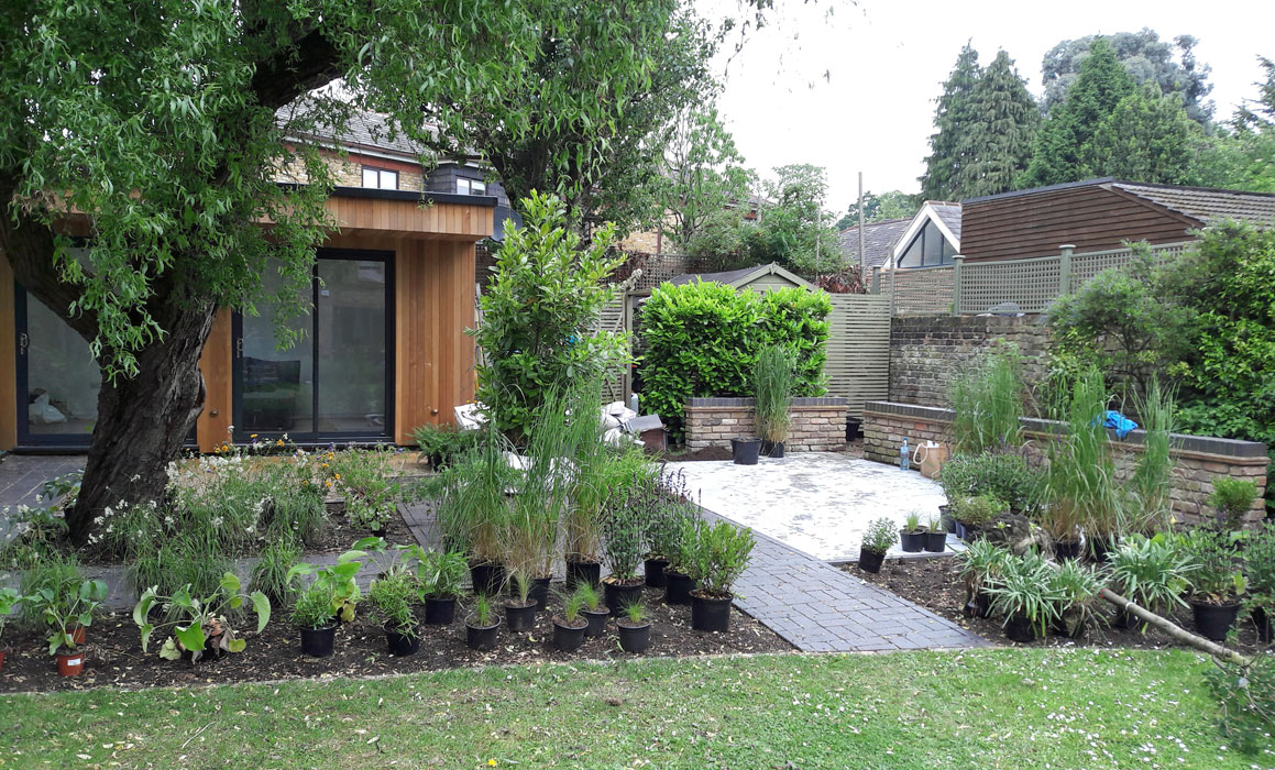 plants placed ready for planting